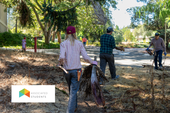 Three people clearing weeds.