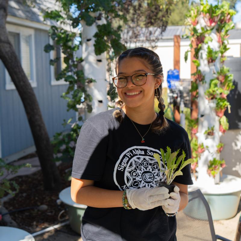 Student Volunteer holding a potted herb plant.
