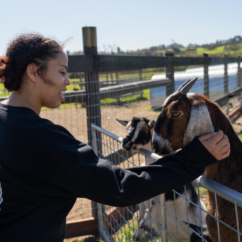 Student petting a goat.