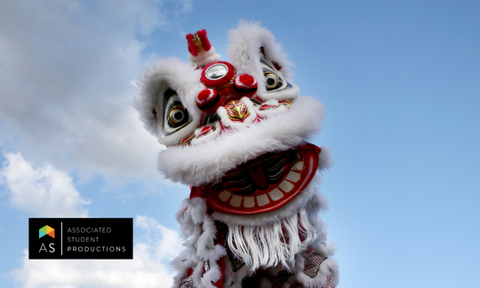 Lion Dance Performer