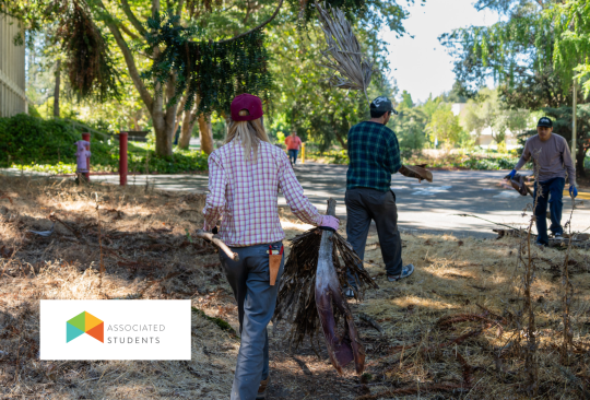 Three people clearing weeds.