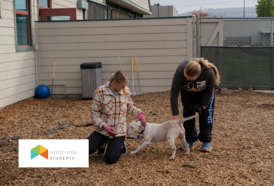 Two students petting a dog.