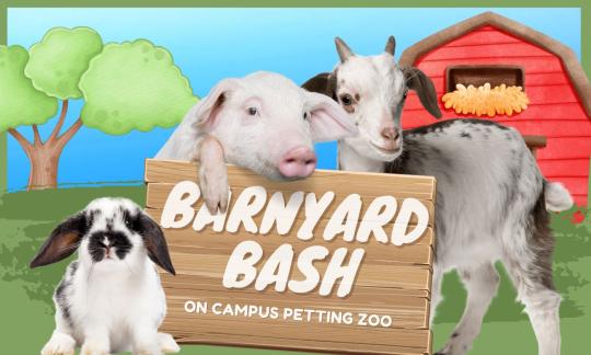 Bunny, pig, and goat.