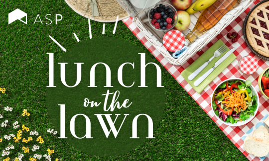 Lunch spread on a lawn