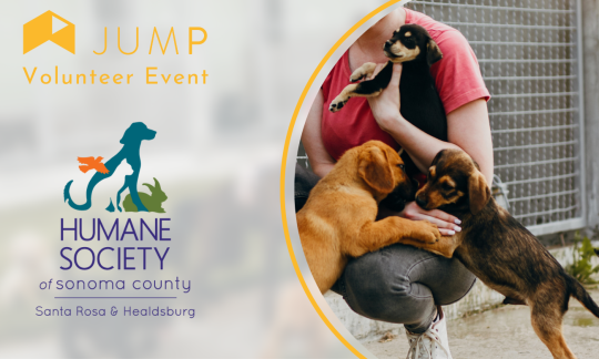 A volunteer with puppies at an animal shelter.